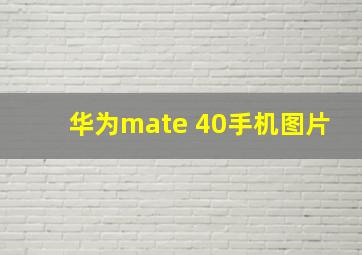 华为mate 40手机图片